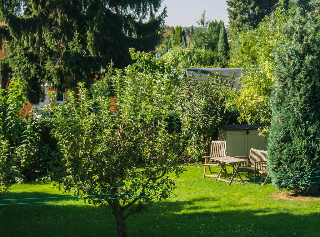 Ferienwohnung Am Elberadweg Dresden Ngoại thất bức ảnh