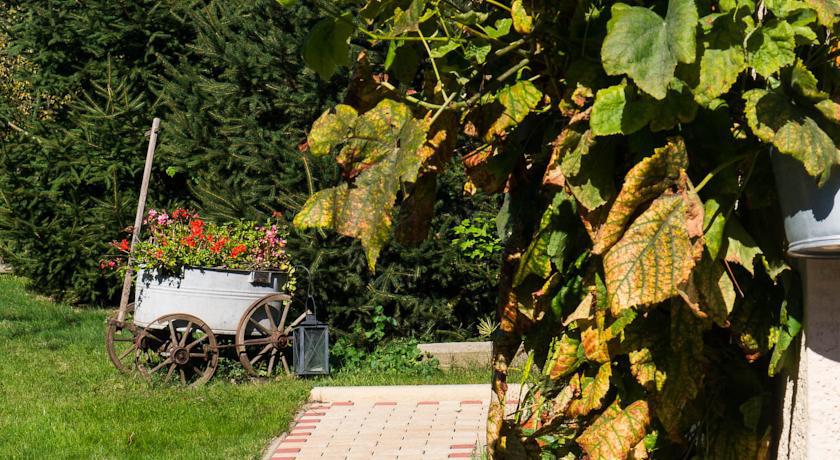 Ferienwohnung Am Elberadweg Dresden Ngoại thất bức ảnh