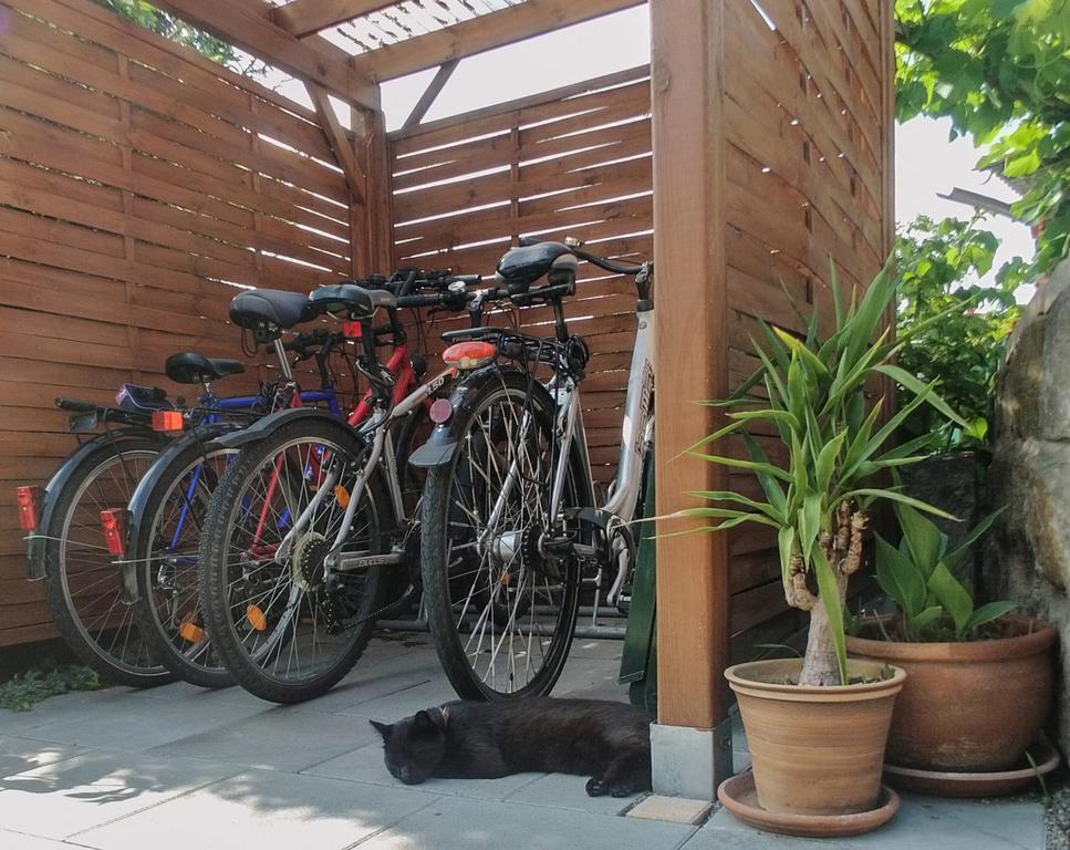Ferienwohnung Am Elberadweg Dresden Ngoại thất bức ảnh